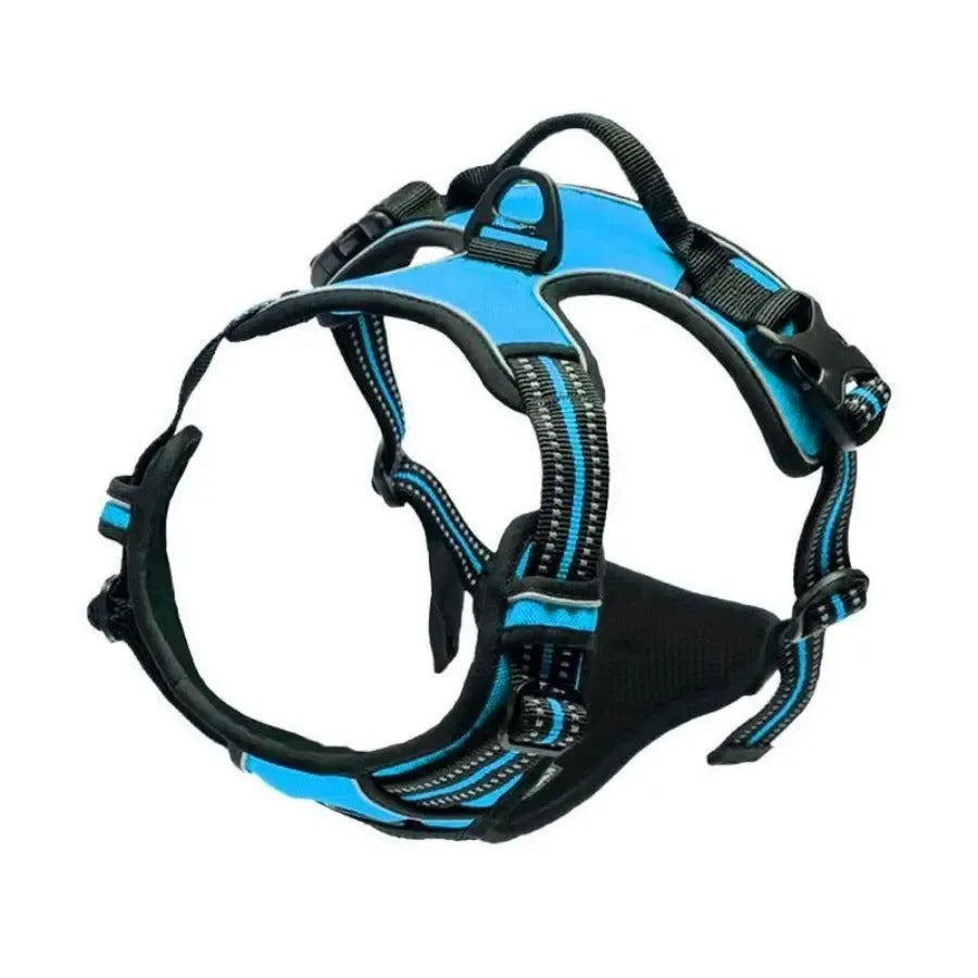 Dogs Strap Belts