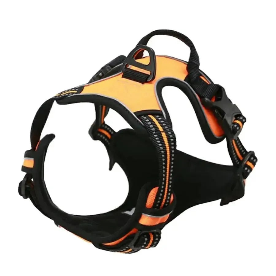 Dogs Strap Belts