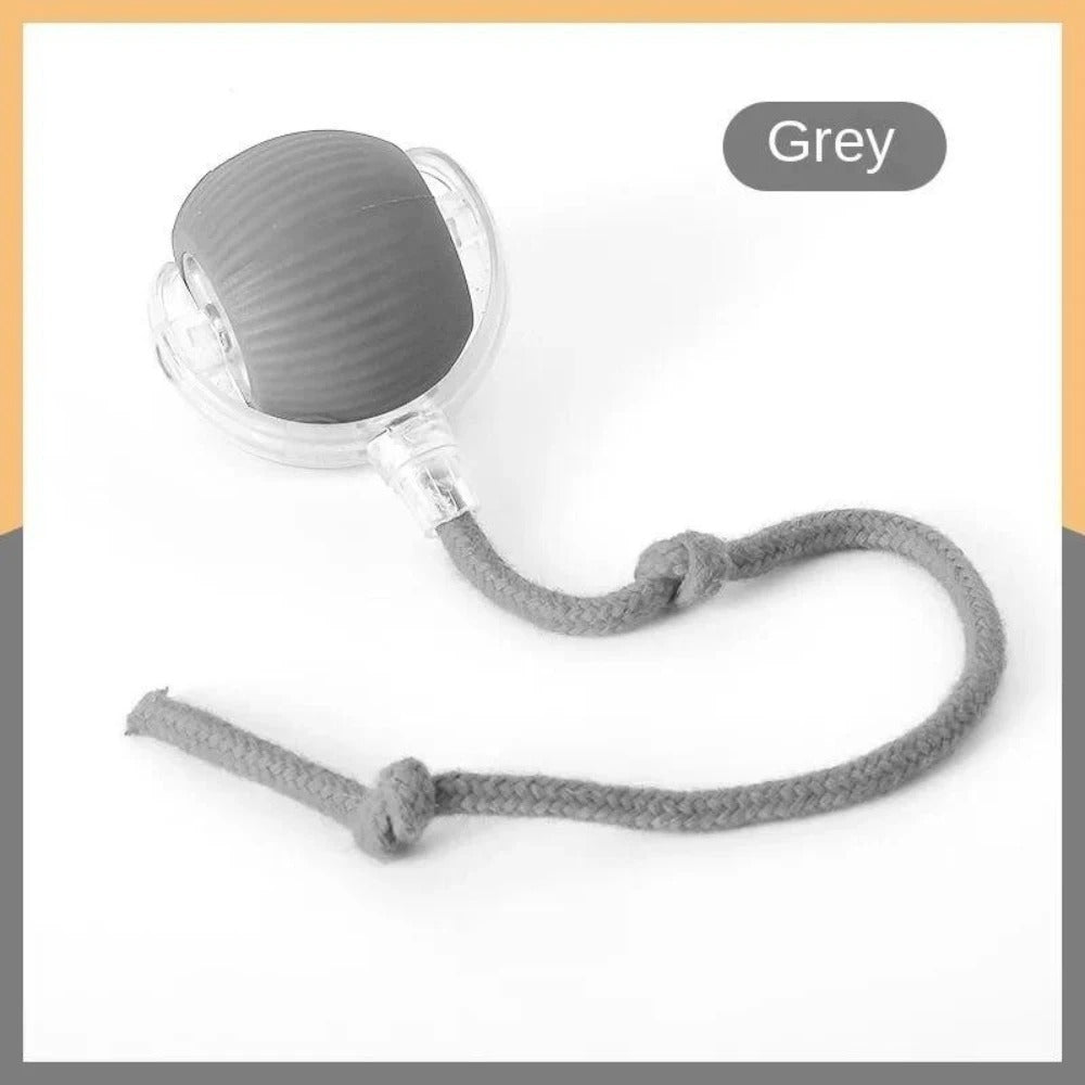 Automatic rechargeable cat ball