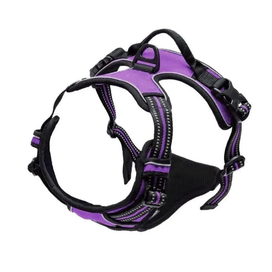 Dogs Strap Belts