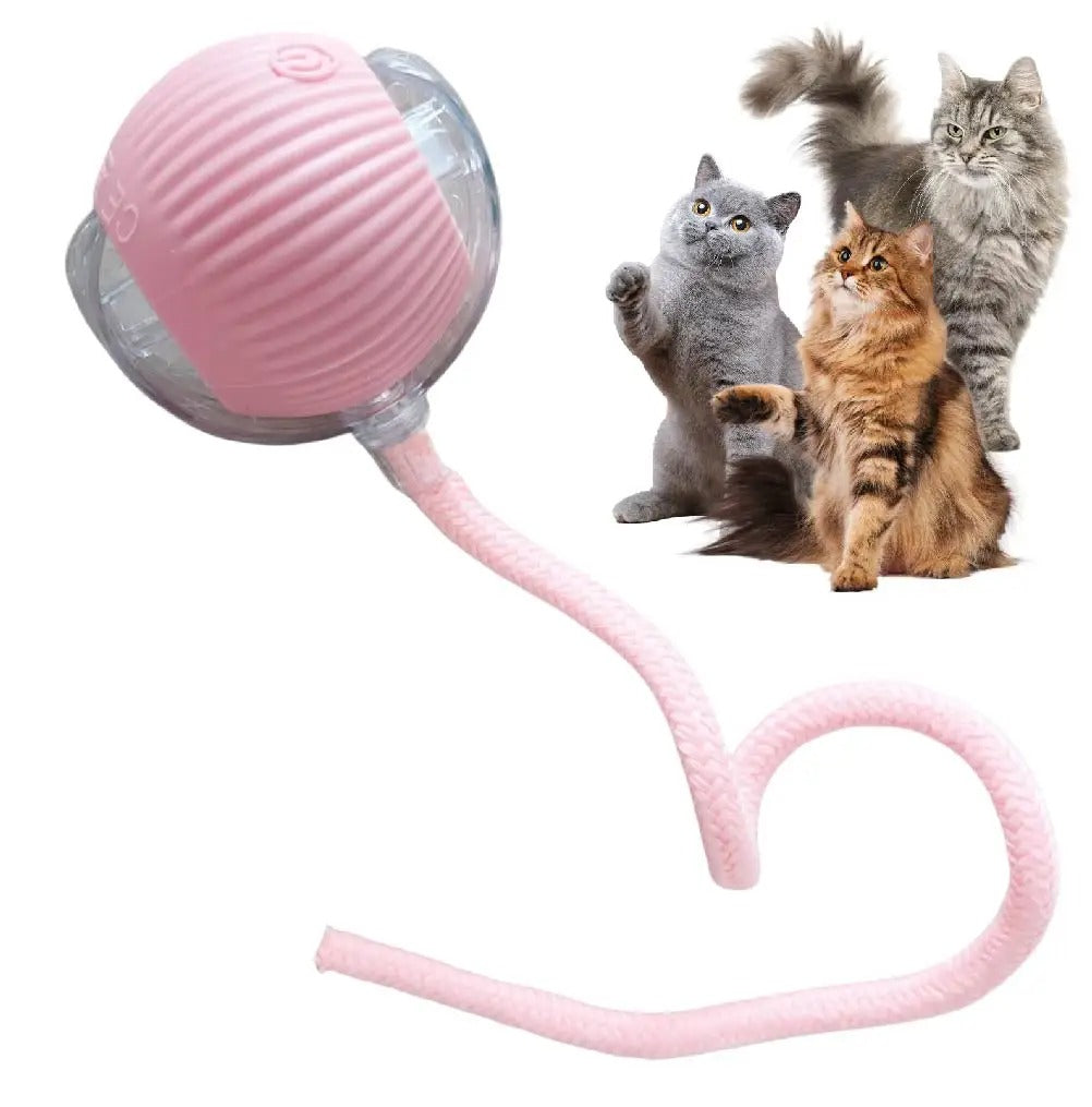 Automatic rechargeable cat ball