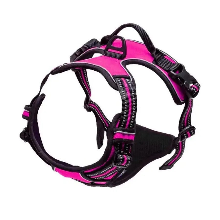 Dogs Strap Belts