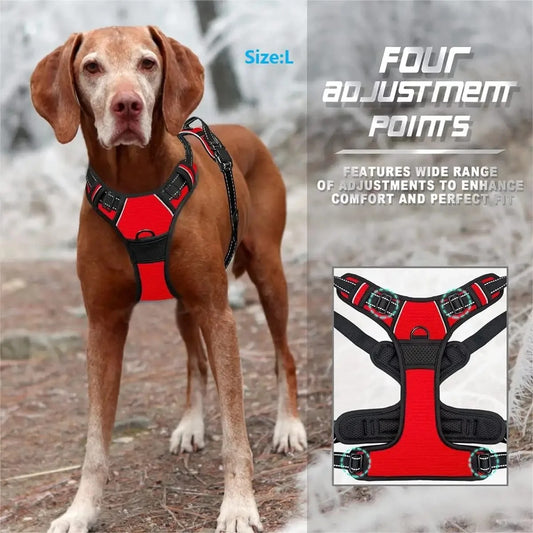 Dogs Strap Belts
