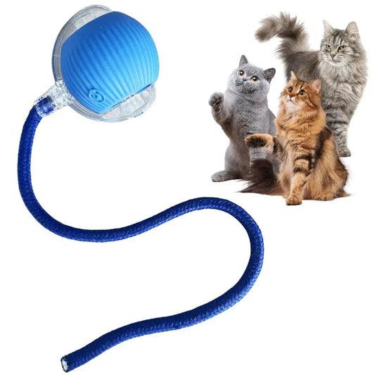 Automatic rechargeable cat ball