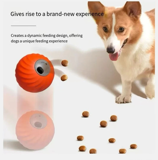 Hidden Food Ball For Dogs