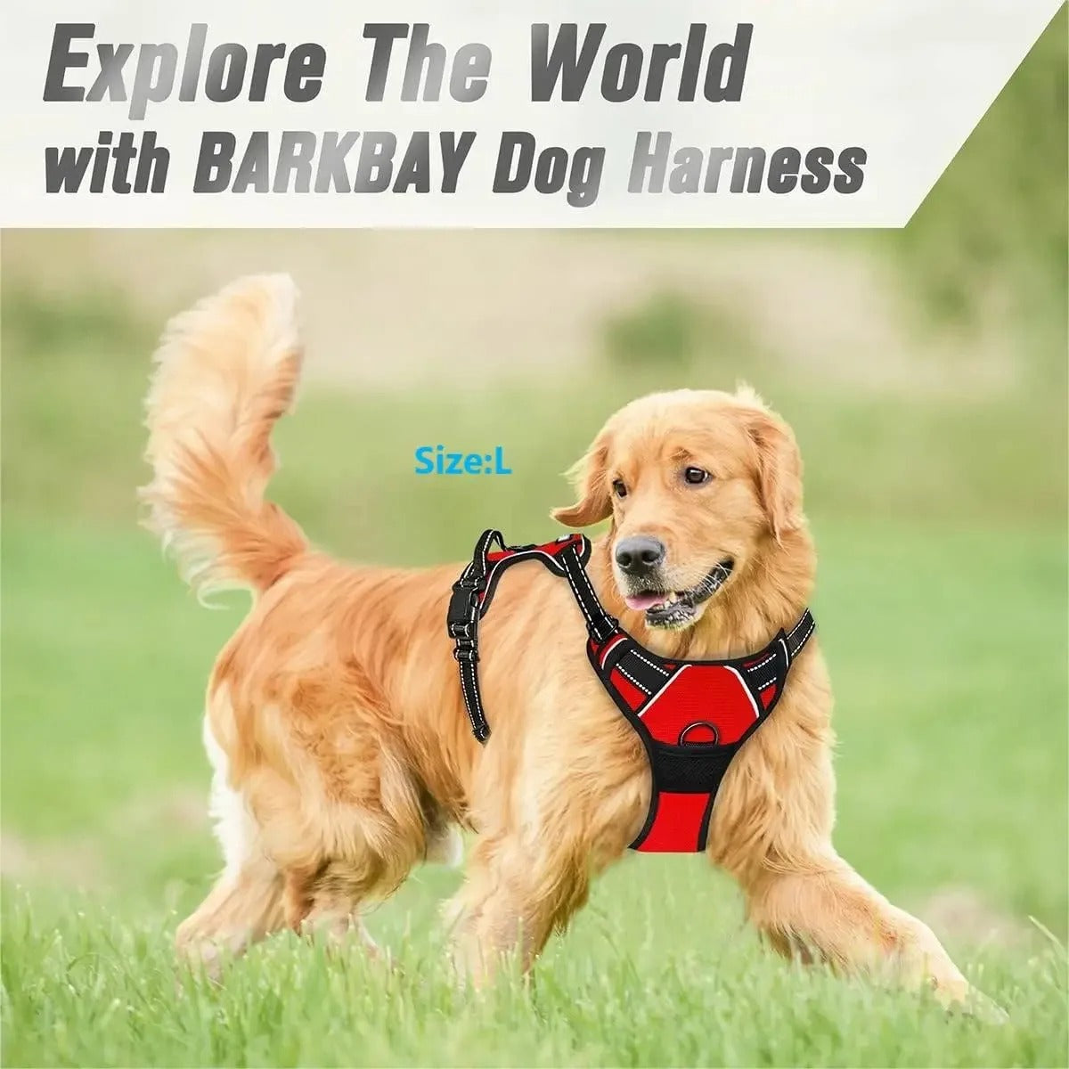 Dogs Strap Belts