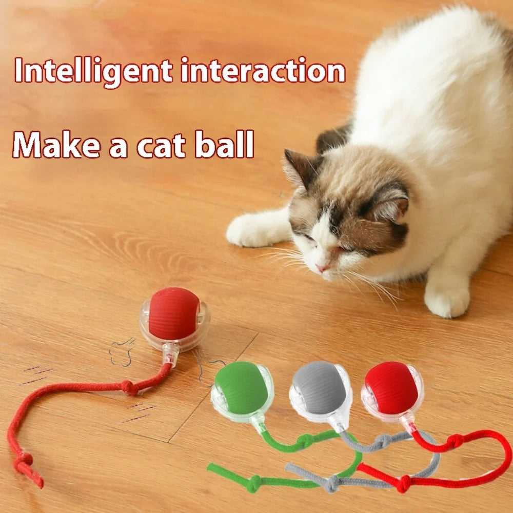 Automatic rechargeable cat ball
