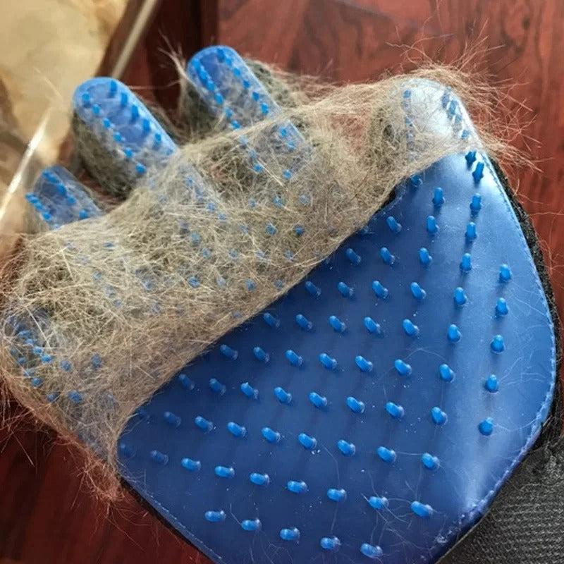 Fur Cleaning Gloves