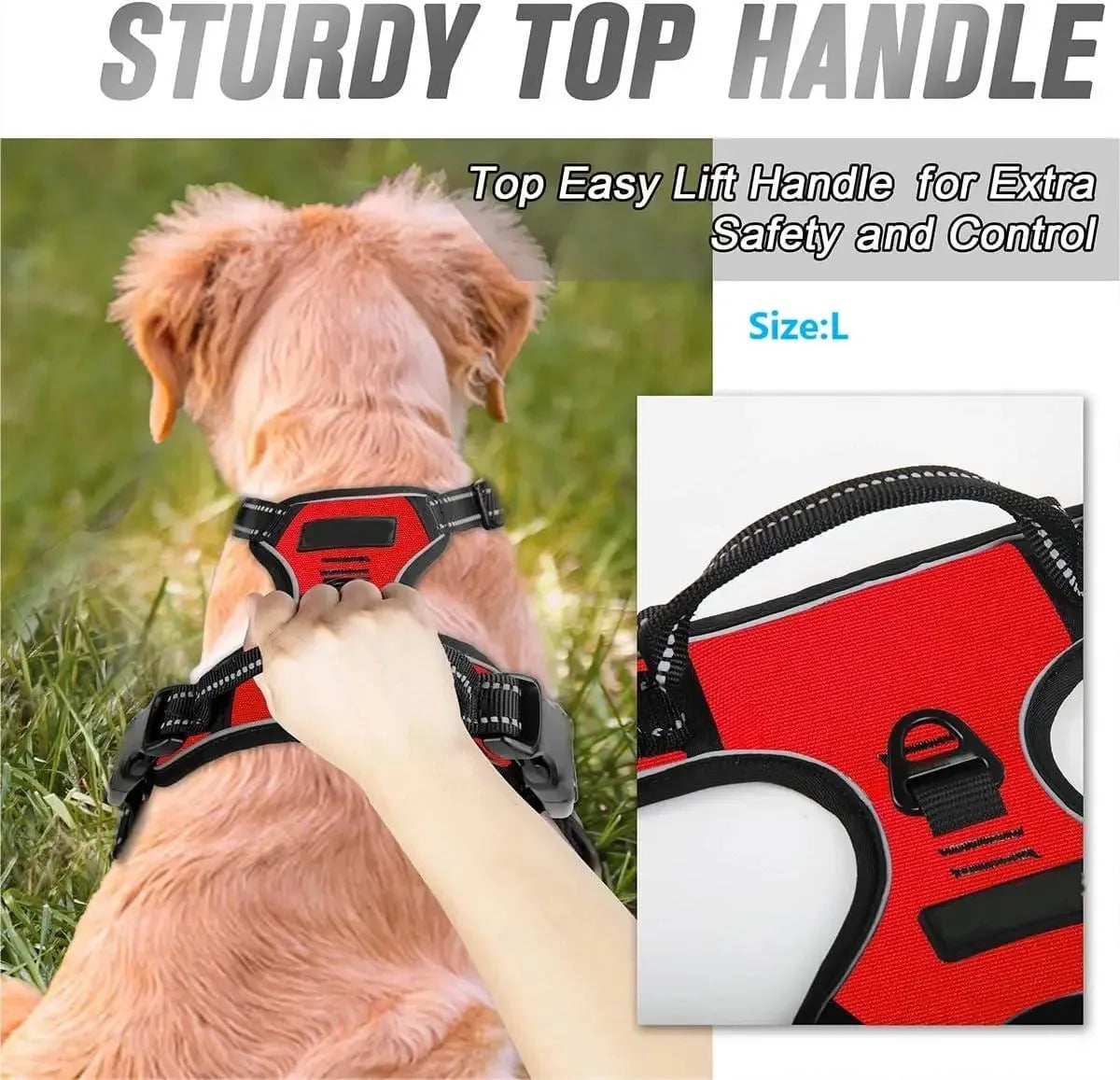 Dogs Strap Belts