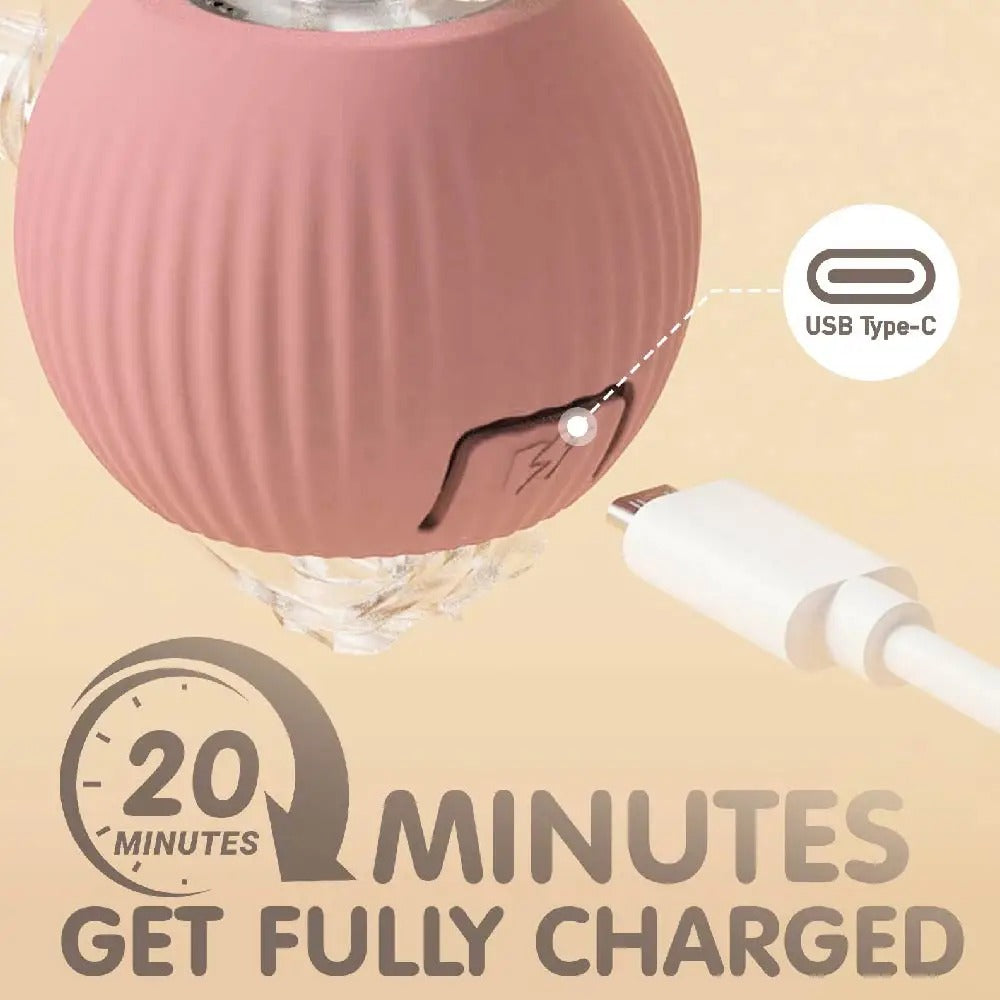 Automatic rechargeable cat ball