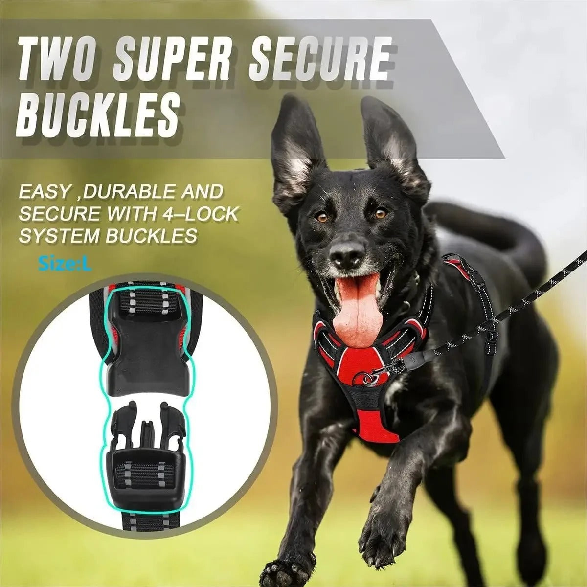 Dogs Strap Belts