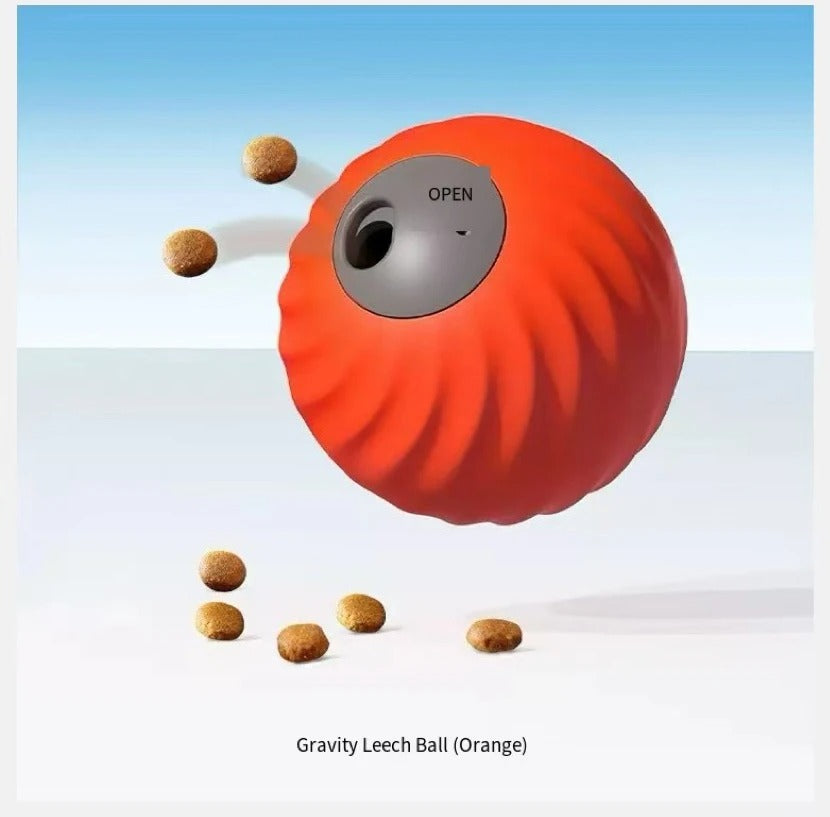Hidden Food Ball For Dogs