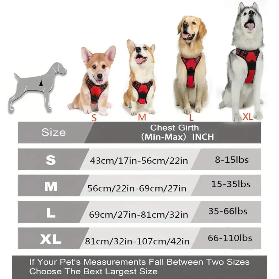 Dogs Strap Belts