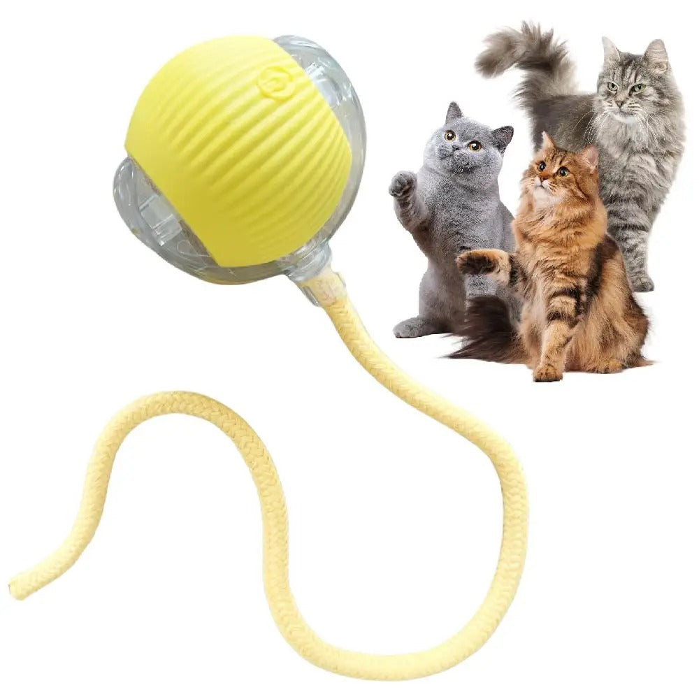 Automatic rechargeable cat ball