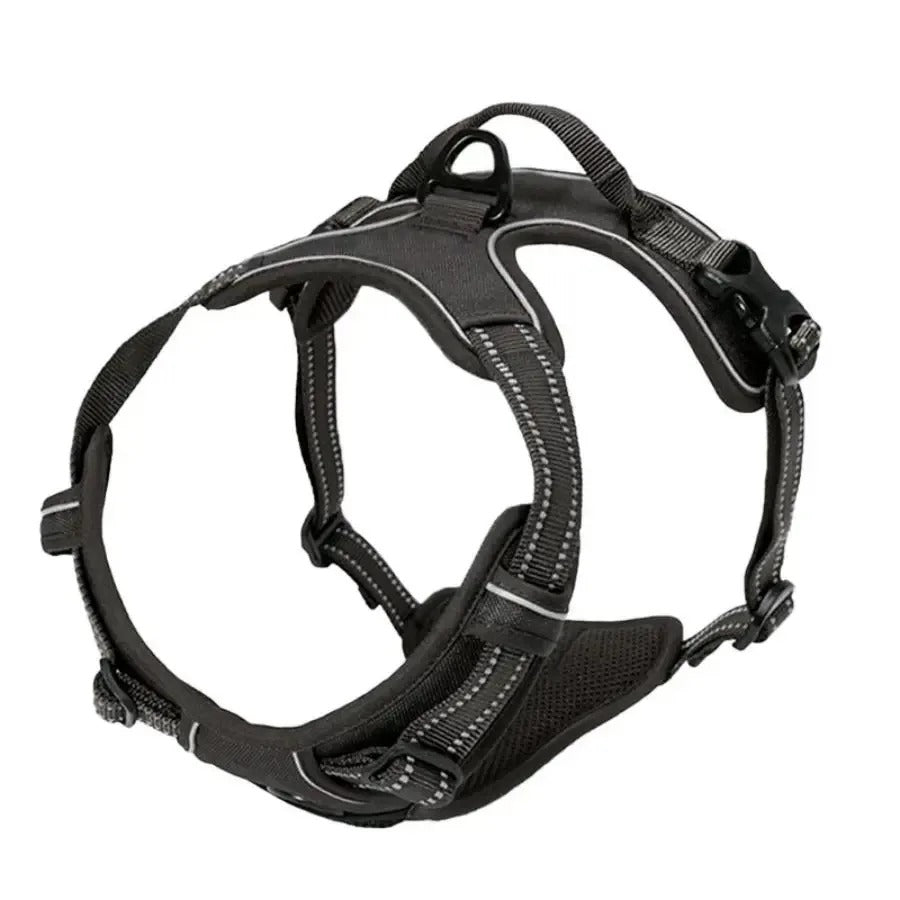Dogs Strap Belts