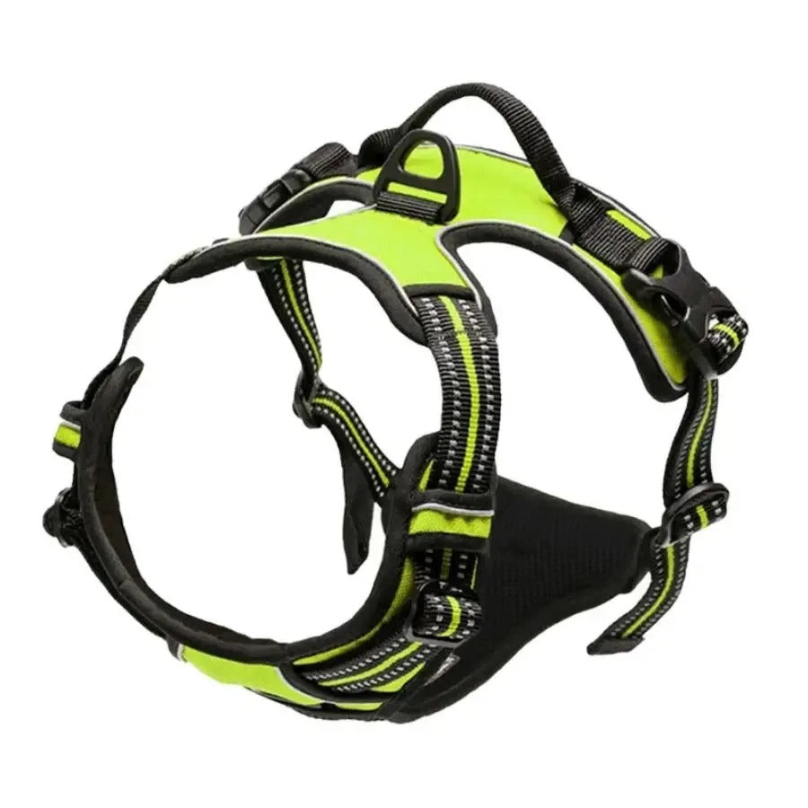 Dogs Strap Belts
