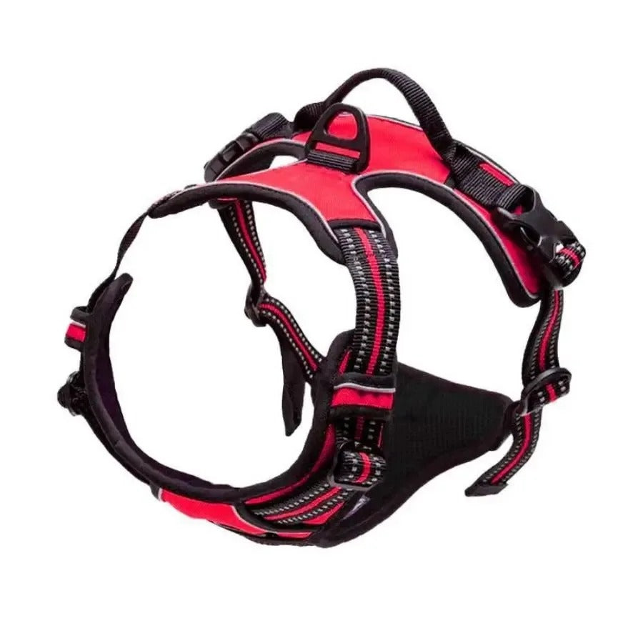 Dogs Strap Belts
