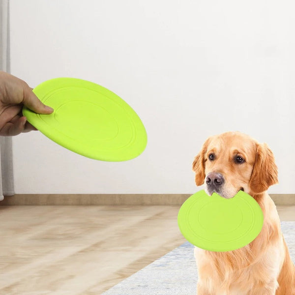 Pet Toys