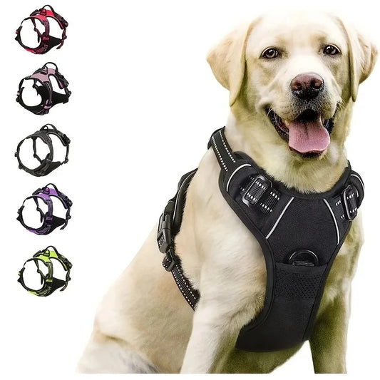 Dogs Strap Belts