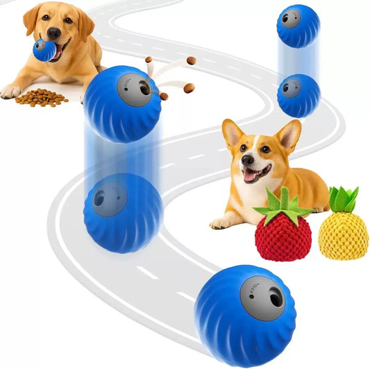 Hidden Food Ball For Dogs