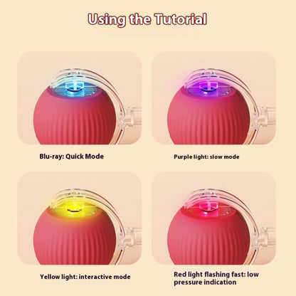 Automatic  rechargeable cat ball