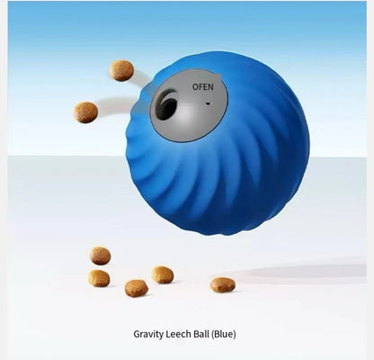 Hidden Food Ball For Dogs
