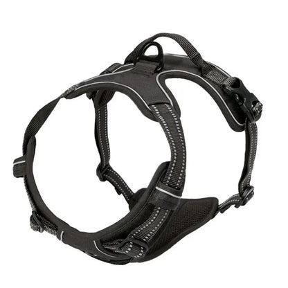 Dogs Strap Belts