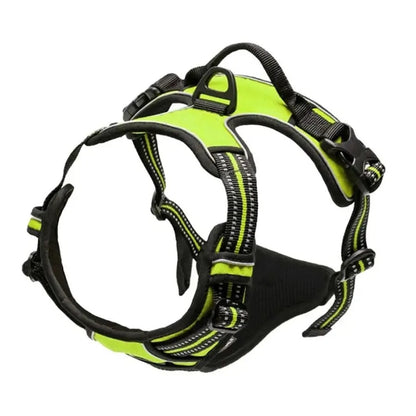 Dogs Strap Belts